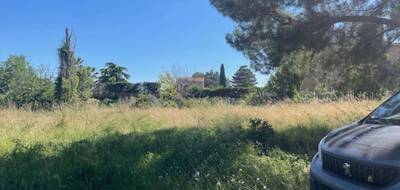 Terrain à Pélissanne en Bouches-du-Rhône (13) de 746 m² à vendre au prix de 312000€ - 3