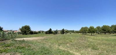 Terrain à Saint-Pargoire en Hérault (34) de 300 m² à vendre au prix de 95000€ - 4