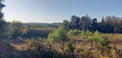 Terrain à Argens-Minervois en Aude (11) de 1052 m² à vendre au prix de 110000€ - 3