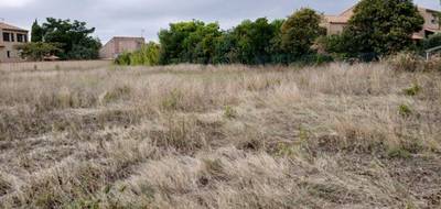 Terrain et maison à Florensac en Hérault (34) de 90 m² à vendre au prix de 328730€ - 4