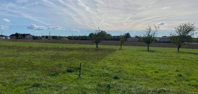 Terrain à Ribagnac en Dordogne (24) de 2400 m² à vendre au prix de 40000€ - 2