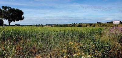 Terrain à Marseillan en Hérault (34) de 304 m² à vendre au prix de 145000€ - 1