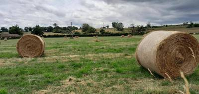 Terrain et maison à Diou en Allier (03) de 90 m² à vendre au prix de 178710€ - 3