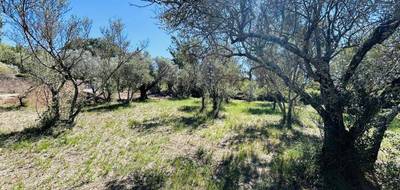 Terrain à Lorgues en Var (83) de 750 m² à vendre au prix de 170000€ - 1