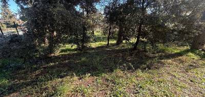 Terrain et maison à Puget-sur-Argens en Var (83) de 64 m² à vendre au prix de 372000€ - 3