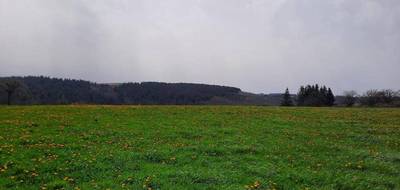 Terrain à Roannes-Saint-Mary en Cantal (15) de 1500 m² à vendre au prix de 45000€ - 4