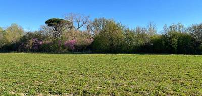 Terrain à Labastide-d'Anjou en Aude (11) de 557 m² à vendre au prix de 66840€ - 3