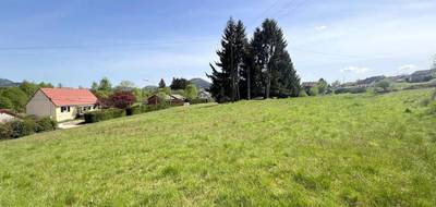 Terrain à Saales en Bas-Rhin (67) de 5935 m² à vendre au prix de 87900€ - 1