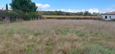 Terrain à Buzet-sur-Tarn en Haute-Garonne (31) de 1800 m² à vendre au prix de 115000€ - 2