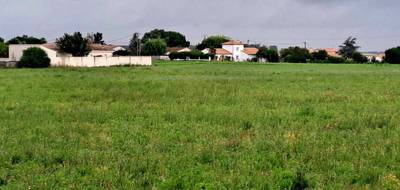 Terrain et maison à Saint-Georges-de-Didonne en Charente-Maritime (17) de 75 m² à vendre au prix de 231210€ - 3