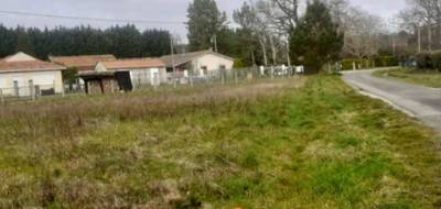 Terrain et maison à Carcans en Gironde (33) de 85 m² à vendre au prix de 269200€ - 3