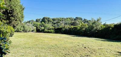 Terrain à Mougins en Alpes-Maritimes (06) de 1500 m² à vendre au prix de 590000€ - 2