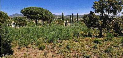 Terrain et maison à Sainte-Maxime en Var (83) de 173 m² à vendre au prix de 1350000€ - 2