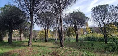 Terrain à Grimaud en Var (83) de 1400 m² à vendre au prix de 659000€ - 1