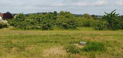 Terrain à La Ferté-Bernard en Sarthe (72) de 500 m² à vendre au prix de 50000€ - 3