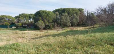 Terrain à Roquebrune-sur-Argens en Var (83) de 887 m² à vendre au prix de 280000€ - 2