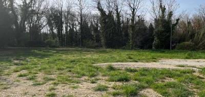 Terrain à Bollène en Vaucluse (84) de 700 m² à vendre au prix de 92000€ - 4