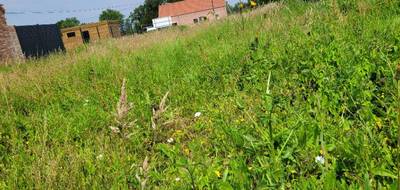 Terrain à Winnezeele en Nord (59) de 460 m² à vendre au prix de 65600€ - 2