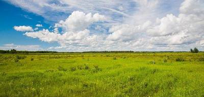 Terrain et maison à Amboise en Indre-et-Loire (37) de 110 m² à vendre au prix de 325000€ - 3