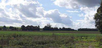 Terrain et maison à La Veuve en Marne (51) de 80 m² à vendre au prix de 191600€ - 3