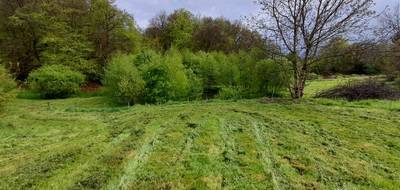 Terrain à Chaptelat en Haute-Vienne (87) de 1219 m² à vendre au prix de 49500€ - 1