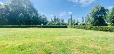 Terrain et maison à Muides-sur-Loire en Loir-et-Cher (41) de 79 m² à vendre au prix de 170707€ - 4