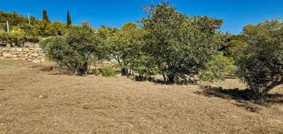 Terrain à Lorgues en Var (83) de 804 m² à vendre au prix de 119000€ - 3