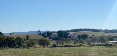 Terrain à Saint-Just-Malmont en Haute-Loire (43) de 894 m² à vendre au prix de 73000€ - 3