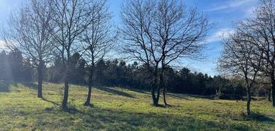 Terrain à Labouheyre en Landes (40) de 368 m² à vendre au prix de 49984€ - 1