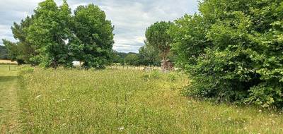 Terrain à Le Pizou en Dordogne (24) de 3000 m² à vendre au prix de 32000€ - 1