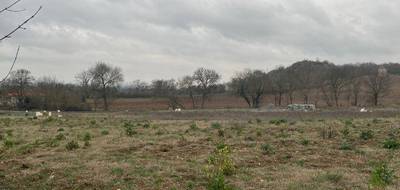 Terrain et maison à Castelnau-de-Lévis en Tarn (81) de 83 m² à vendre au prix de 189700€ - 4