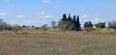 Terrain et maison à Marseillan en Hérault (34) de 100 m² à vendre au prix de 402000€ - 3