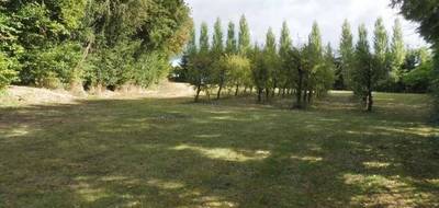 Terrain à Aubigny-Les Clouzeaux en Vendée (85) de 1000 m² à vendre au prix de 136200€ - 1