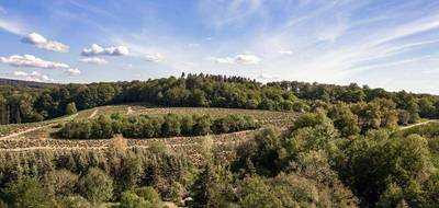 Terrain et maison à Avrillé en Maine-et-Loire (49) de 124 m² à vendre au prix de 379950€ - 3