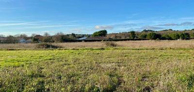 Terrain à Saint-Palais-sur-Mer en Charente-Maritime (17) de 329 m² à vendre au prix de 176000€ - 1