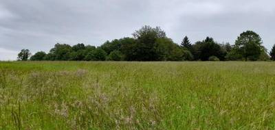 Terrain à Saint-Junien en Haute-Vienne (87) de 3373 m² à vendre au prix de 74500€ - 2