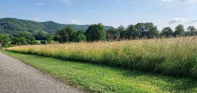 Terrain et maison à Coutens en Ariège (09) de 110 m² à vendre au prix de 217140€ - 4