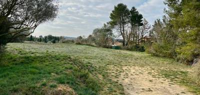 Terrain et maison à Moussan en Aude (11) de 120 m² à vendre au prix de 456677€ - 4
