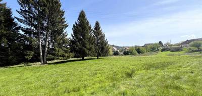 Terrain à Saales en Bas-Rhin (67) de 5935 m² à vendre au prix de 87900€ - 3