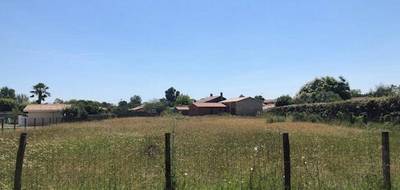 Terrain et maison à Le Pian-Médoc en Gironde (33) de 120 m² à vendre au prix de 510000€ - 4