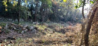 Terrain à Tourves en Var (83) de 505 m² à vendre au prix de 155000€ - 1