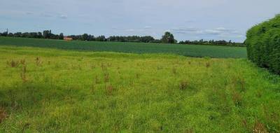 Terrain à Steenvoorde en Nord (59) de 330 m² à vendre au prix de 75200€ - 2