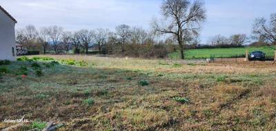 Terrain à Albi en Tarn (81) de 591 m² à vendre au prix de 57000€ - 1