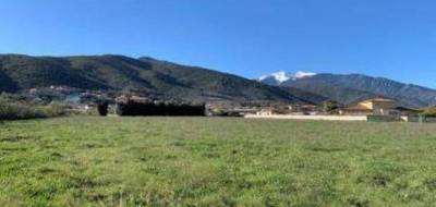 Terrain et maison à Tresserre en Pyrénées-Orientales (66) de 110 m² à vendre au prix de 343000€ - 4