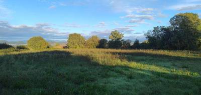 Terrain à Barjac en Gard (30) de 750 m² à vendre au prix de 62000€ - 1