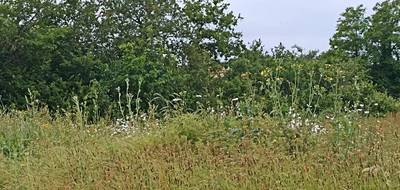 Terrain et maison à La Roche-sur-Yon en Vendée (85) de 80 m² à vendre au prix de 204356€ - 4