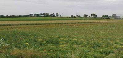 Terrain à Baralle en Pas-de-Calais (62) de 536 m² à vendre au prix de 53500€ - 3