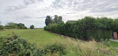 Terrain et maison à Auchy-lez-Orchies en Nord (59) de 93 m² à vendre au prix de 261200€ - 3