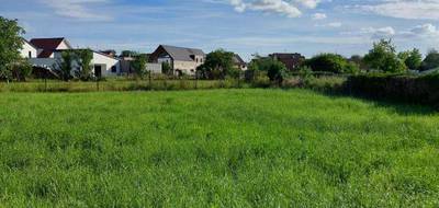 Terrain et maison à Ribeauvillé en Haut-Rhin (68) de 100 m² à vendre au prix de 428600€ - 4