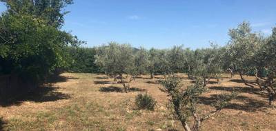 Terrain à Oraison en Alpes-de-Haute-Provence (04) de 740 m² à vendre au prix de 145000€ - 3